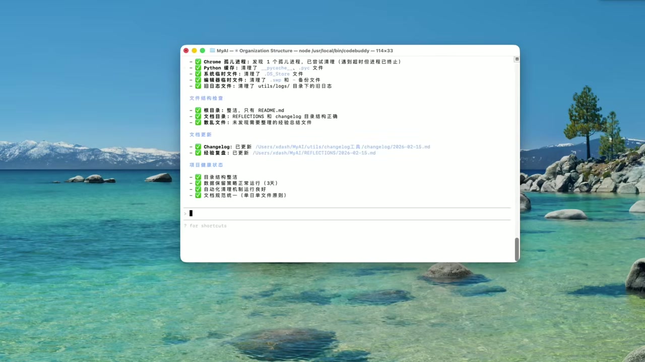 屏幕展示: ORG技能执行结果